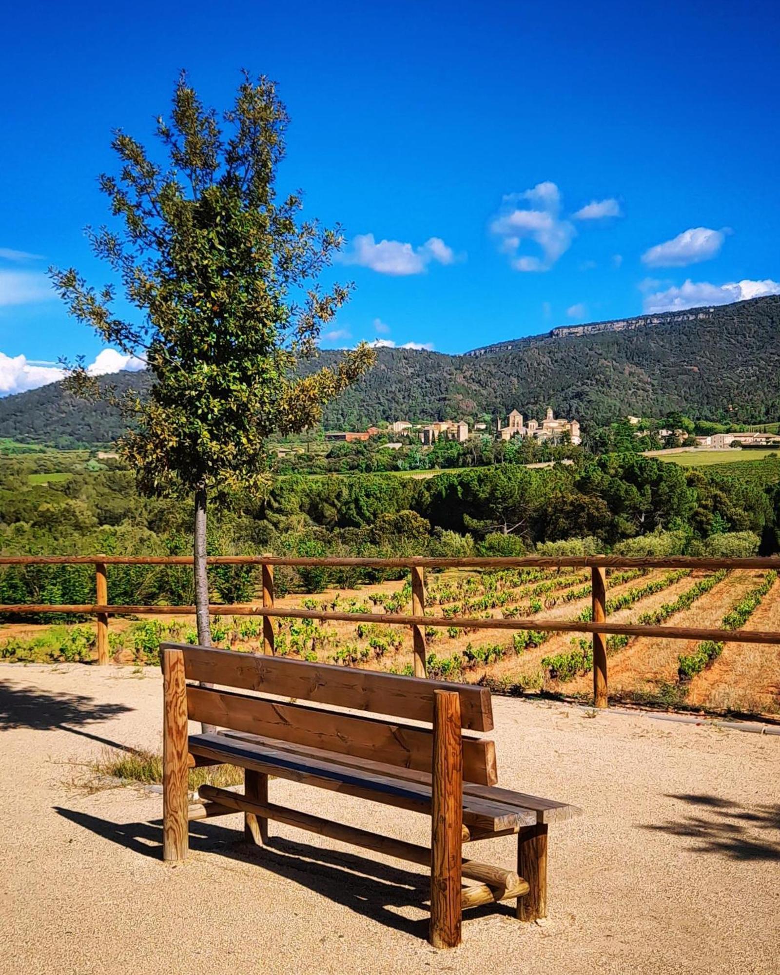 Cal Passio Villa Vimbodi I Poblet Luaran gambar